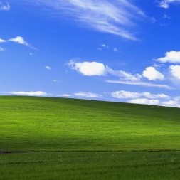 46446415464994's avatar