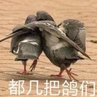 as1330638212's avatar