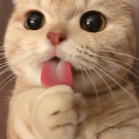 ydl1715847681's avatar