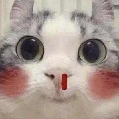 qiong2020's avatar