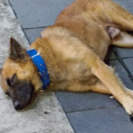 coolandcool's avatar