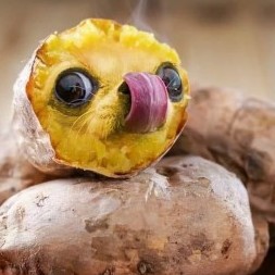 birdeggdrift's avatar