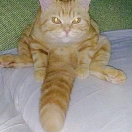 echidnasaikou's avatar