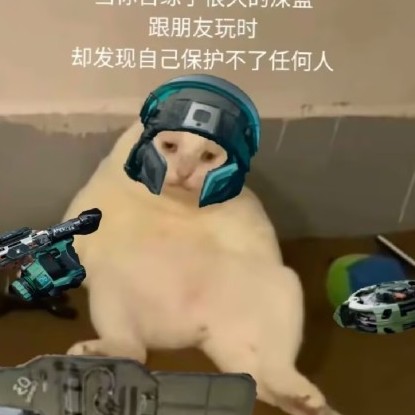 13335009574's avatar