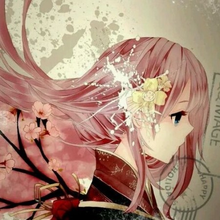 wanqin's avatar