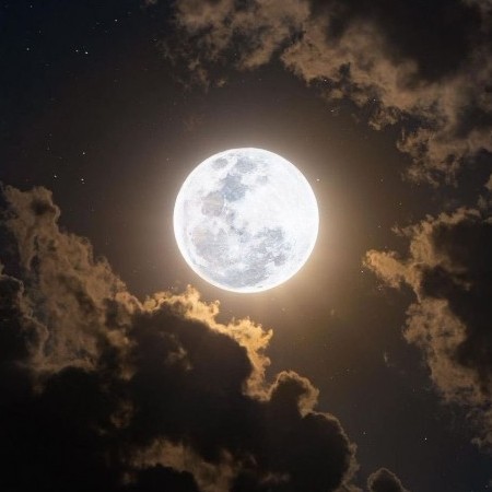 18391985704's avatar