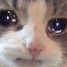 zjx134's avatar