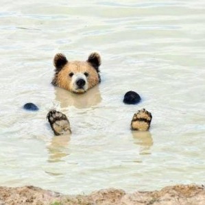 wqnmd121380's avatar