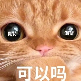 blyxtxdy's avatar