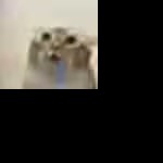 123RDSLD's avatar