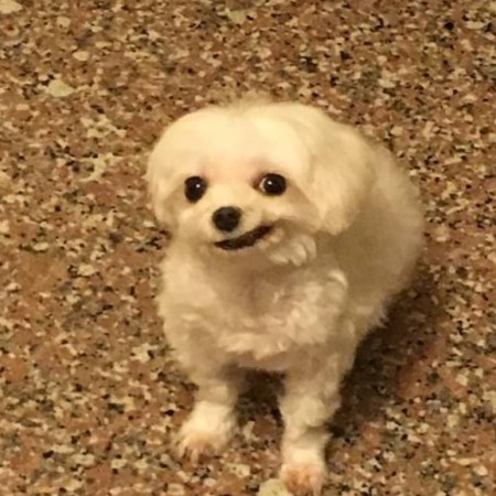 zxc27658479's avatar