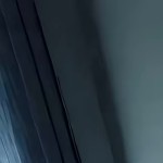 17833756023's avatar