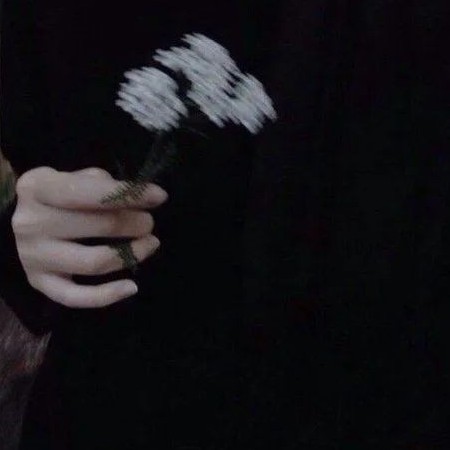 18322956922's avatar