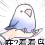 xwqxwqxwq123's avatar