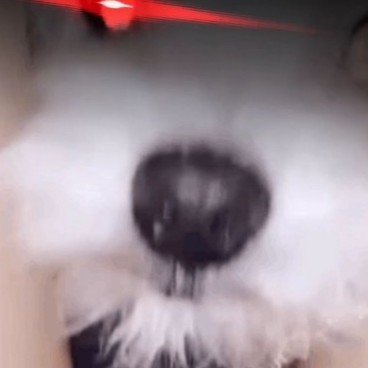 dubidianjuxia's avatar