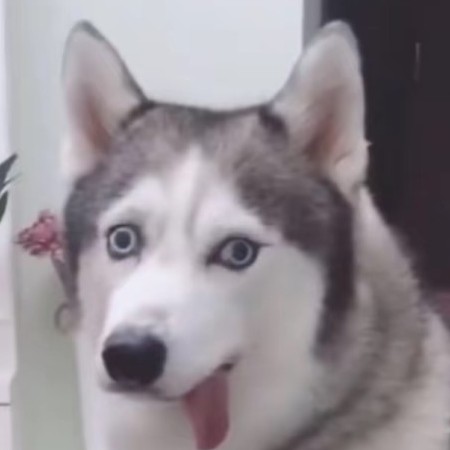 hwxd1980829's avatar