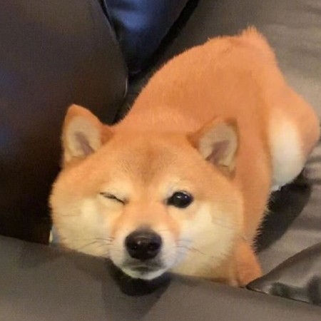 gtxy666's avatar