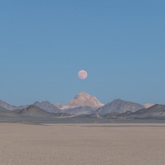 xiaozhushunian's avatar