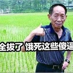 zhangjiuhua's avatar