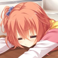 zp2403497's avatar