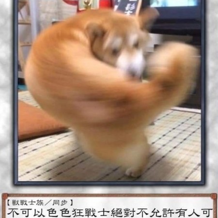 aochuang's avatar