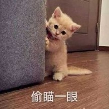 liugungun's avatar