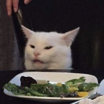 lc8557919530's avatar