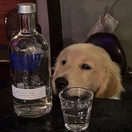 ljw1912187664's avatar