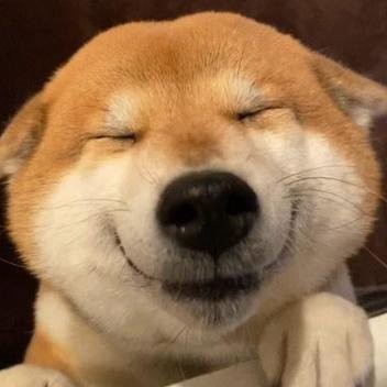 Wangkq158's avatar