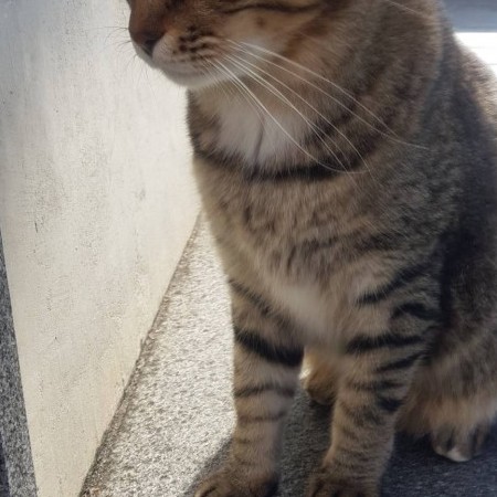 bryant791127's avatar