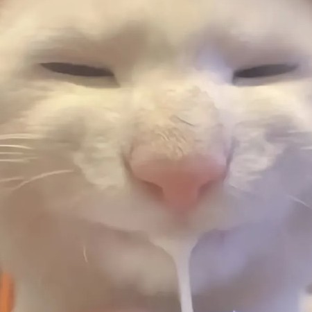 caustic's avatar