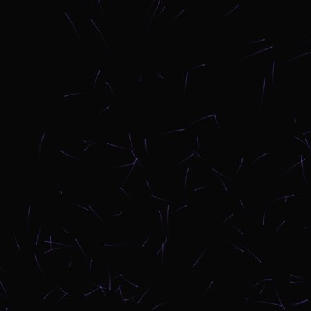 wilson123456123's avatar