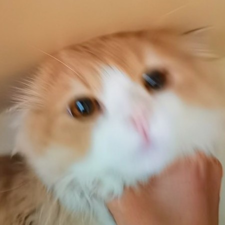 8613841145112's avatar