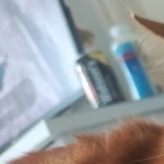 saierdagongzhu's avatar