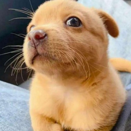 WWW502686595's avatar