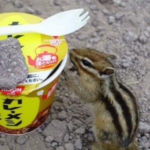 Wakunamatata's avatar