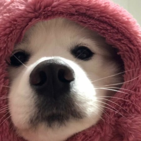 jmtt978875057's avatar