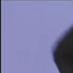 www2082377329's avatar